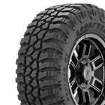 Goodyear Wrangler Boulder MT Photo